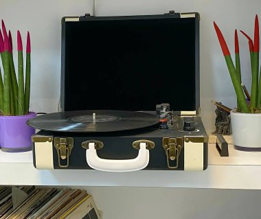 Çiçeklerin arasında cam bir rafta antika tozlu bir plak çalar.