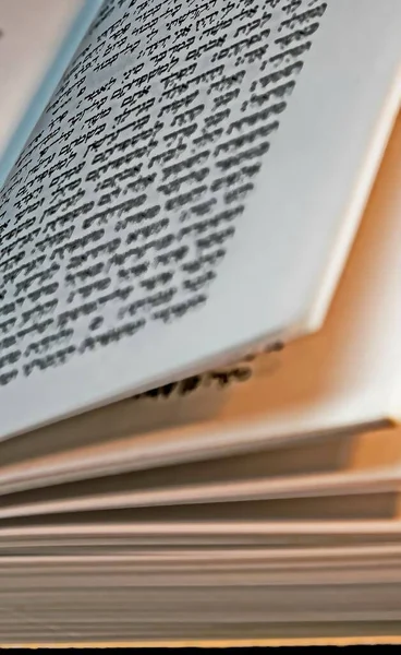 Open Talmud Torah Tanakh Book on table. Selective focus.