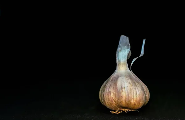 Bulbo Ajo Fresco Sobre Fondo Negro Enfoque Selectivo — Foto de Stock