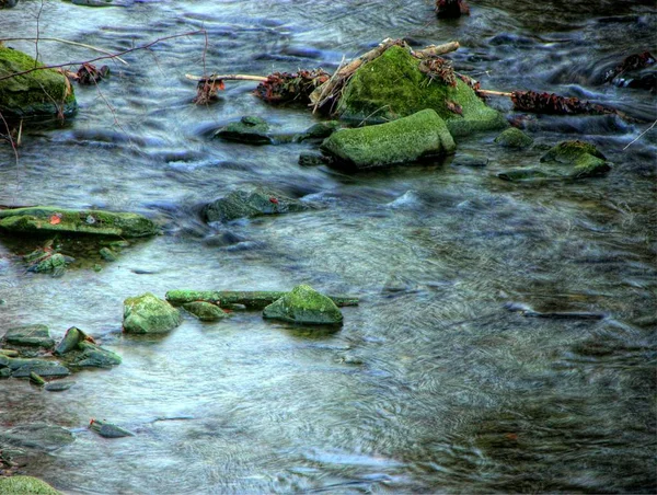 春の融解 ベスキディの小川 — ストック写真