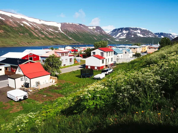 Verbazingwekkende IJslandse landschap Rechtenvrije Stockfoto's