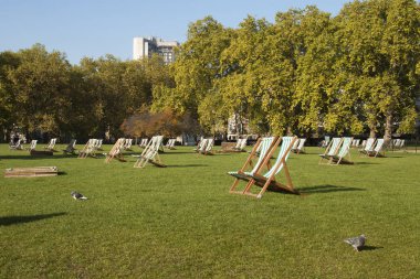 Yazın Londra 'da bir parkta güneşlenirler.
