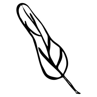 Elle çizilmiş görüntü devre dışı. Mürekkep stili yaprak çiçeği. Düğün davetiyeleri, açılışlar, posterler için vektör ögesi.