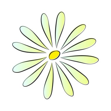 yalnız çiçek papatya rengi