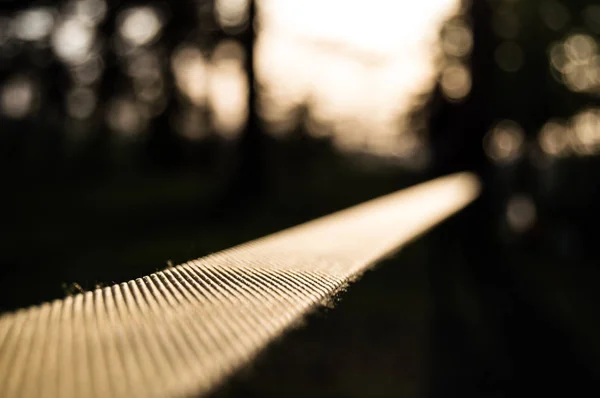 Slackline ağaçları arasında