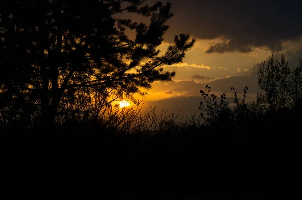 Doğa gün batımında