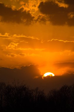 Doğa gün batımında