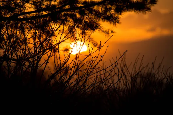 Doğa gün batımında