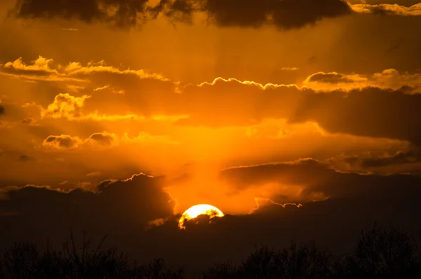 Doğa gün batımında