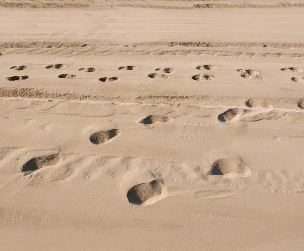Spuren von Menschen im Sand eines Strandes. reiner Sand am Strand als Hintergrund, Textur. Selektiver Fokus. — Stockfoto