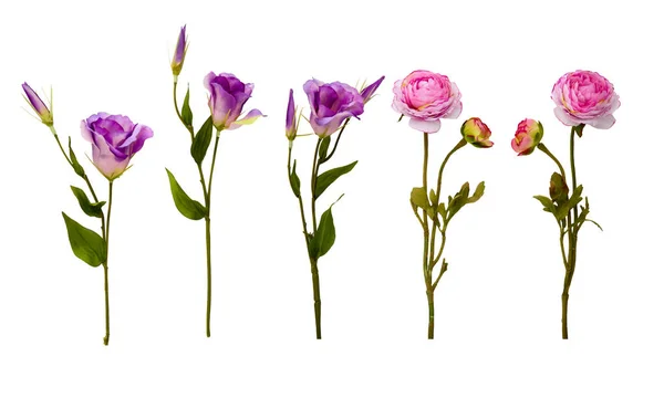 Blütenkomposition. Rahmen aus Blumen isoliert. flache Lage, Draufsicht — Stockfoto