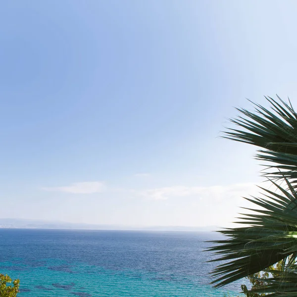 Verschwimmen schöne Natur grüne Palmenblätter am tropischen Strand mit Bokeh Sonnenlicht Welle abstrakten Hintergrund. Kopierraum für Sommerurlaub und Geschäftsreisekonzept. sommerblauer Hintergrund. — Stockfoto
