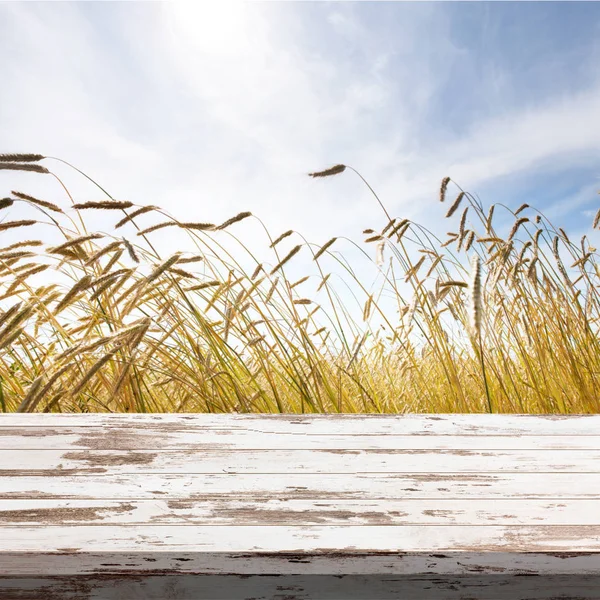 Wood board table in front of field of wheat on summer background. Ready for product display montages — Stock Photo, Image