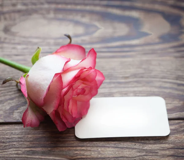 Pink beautiful rose and card for writing on the vintage wooden table view from the top. — Stock Photo, Image