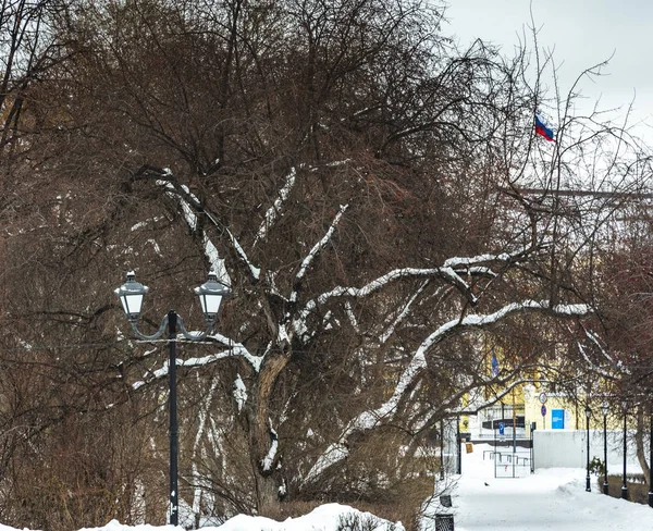 Kışın park et, fenerler ve karlı ağaçlar.