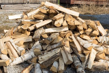 Güneşli bir bahar gününde, taze doğranmış huş ağacı yakacak odunu rastgele bir yığın halinde uzanıyor..