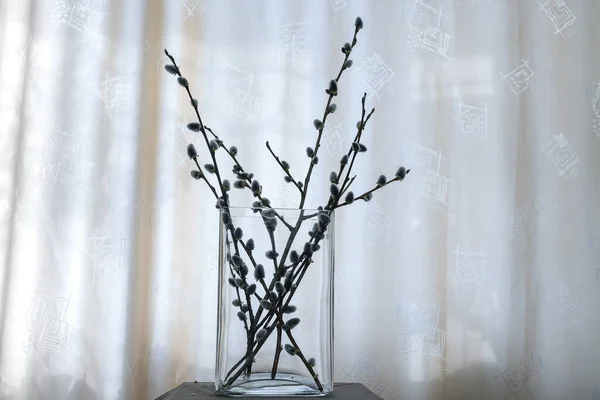Glass Vase Willow Twigs Blossoming Fluffy Flowers Spring Day Stock Picture
