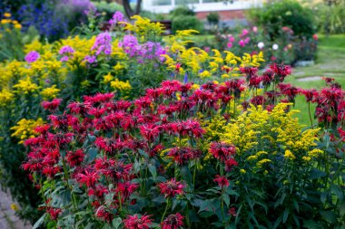 Use of plants in landscape design
