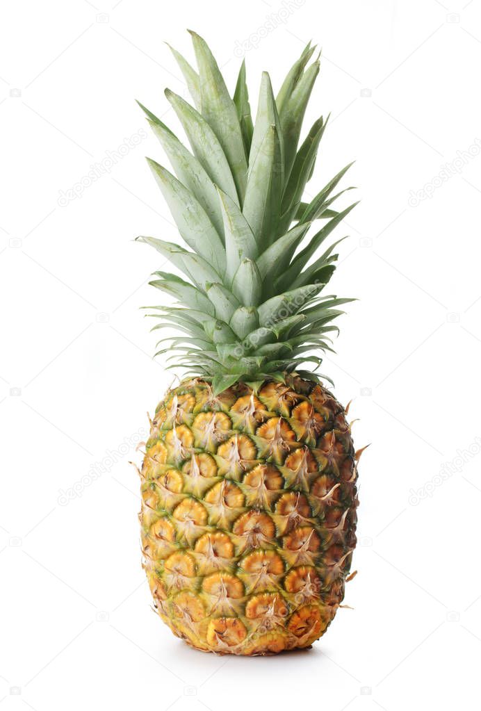 Pineapple_Studio