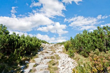 Gökyüzüne tırmanma