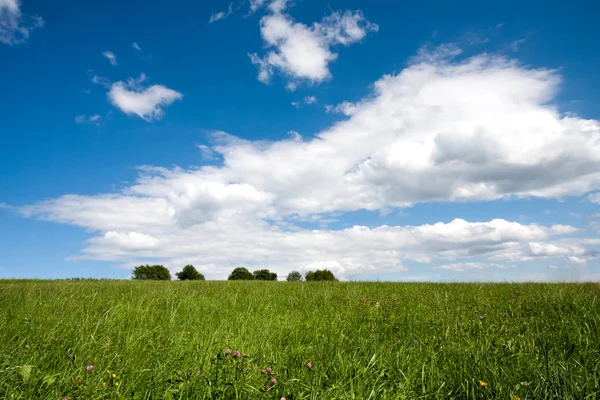 O prado verde sob o céu de penas — Fotografia de Stock