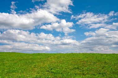 Bir bulutlu gökyüzü altında yeşil çayır