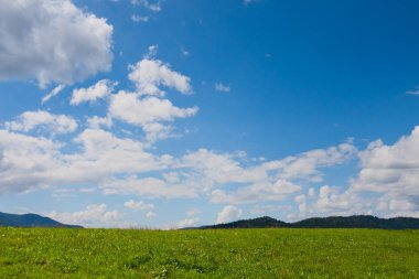 Mavi gökyüzünün altındaki yeşil çayır