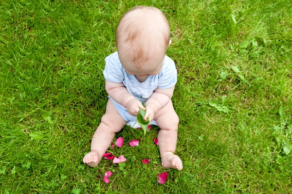 Маленький мальчик с лепестками роз — стоковое фото