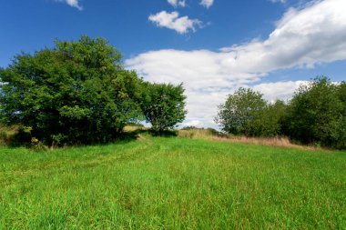 Cennet glade mavi gökyüzünün altında