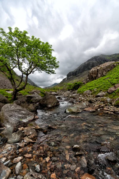 Mountain stream before the storm — Stock Photo, Image