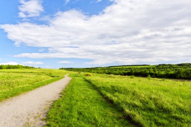 Yeşil çayırlarda giden yol