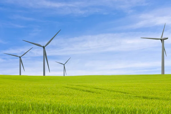 Varios molinos de viento en un prado verde bajo el cielo azul — Foto de Stock