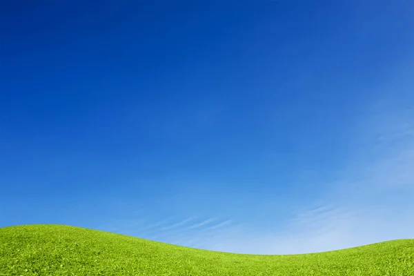 Pradera Verde Cielo Azul — Foto de Stock