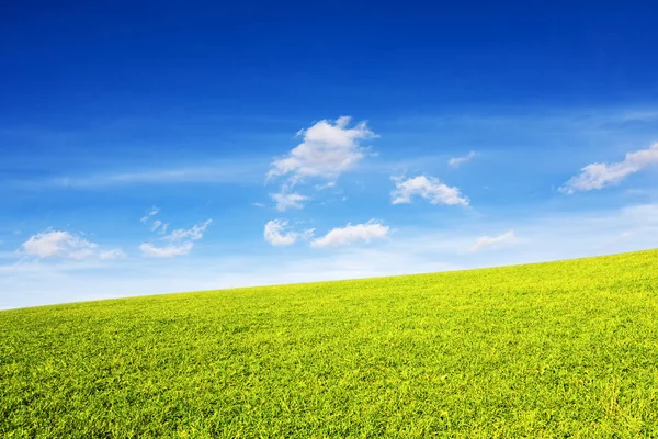 Met Gras Begroeide Heuvel Stralen Van Zon Onder Een Blauwe — Stockfoto