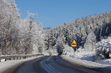  Karla kaplı ağaçlar arasında asfalt yol. Asfalt yol bozuk yüzeyli