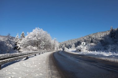 Kış aylarında ormandaki asfalt yol