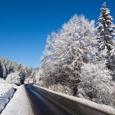 Karla kaplı ağaçlar asfalt karayolu ile