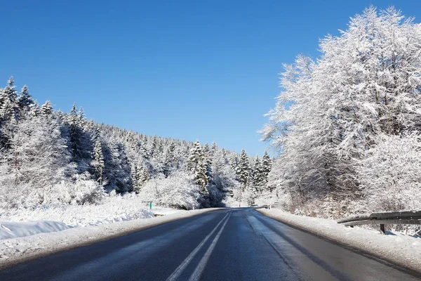 Asfaltová Silnice Mezi Stromy Zimní Sezóně — Stock fotografie