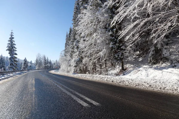 Kış dağlarda. Asfalt yol karlı ağaçların arasında.