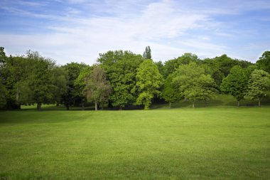 Yaprak döken ağaçlarla çevrili bir park yeşil bir çayırda.