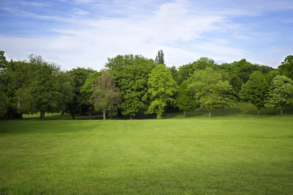 Yaprak döken ağaçlarla çevrili bir park yeşil bir çayırda.