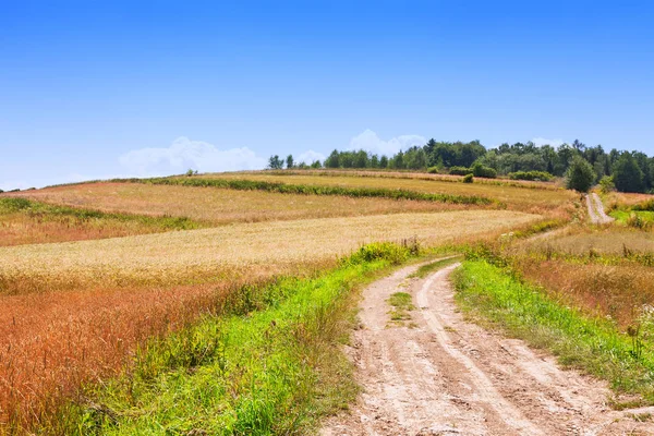 Camino, campos y cielo — Foto de Stock