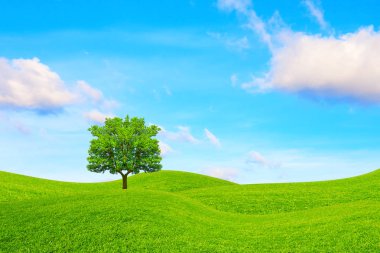 Meşe, tepeler ve gökyüzü