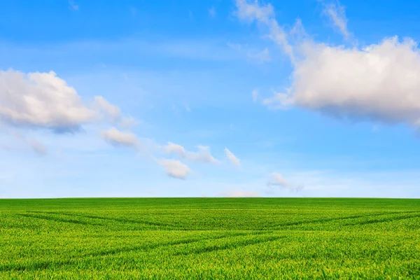 Concepto de ecología . — Foto de Stock