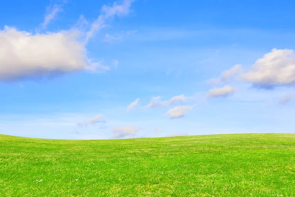 Groene weide onder de heldere hemel. Groen aarde — Stockfoto