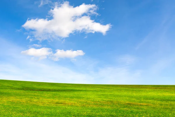 Conceito de ecologia. Prado e céu bonito — Fotografia de Stock