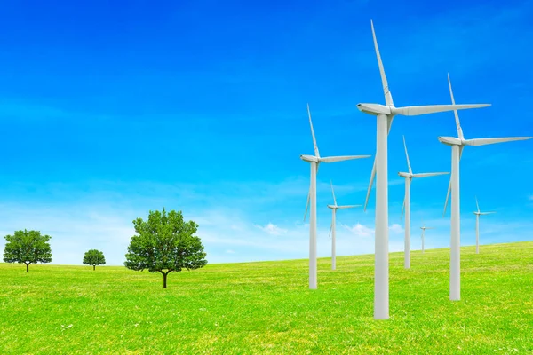Concepto de ecología. molinos de viento, árboles, campo y hermoso cielo. Fuentes de energía renovables — Foto de Stock