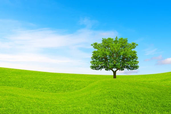 Pojęcie ekologii. Drzewa, wzgórza i piękne niebo — Zdjęcie stockowe