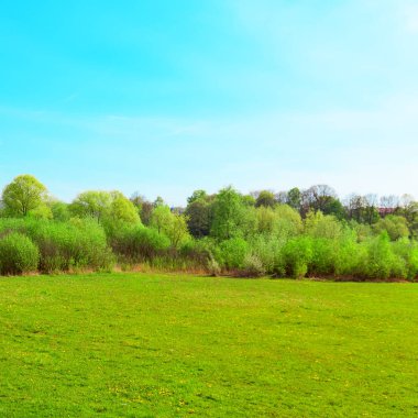Çayır, orman ve gökyüzü