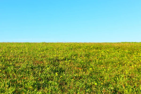 Prado e céu. Conceito de ecologia — Fotografia de Stock